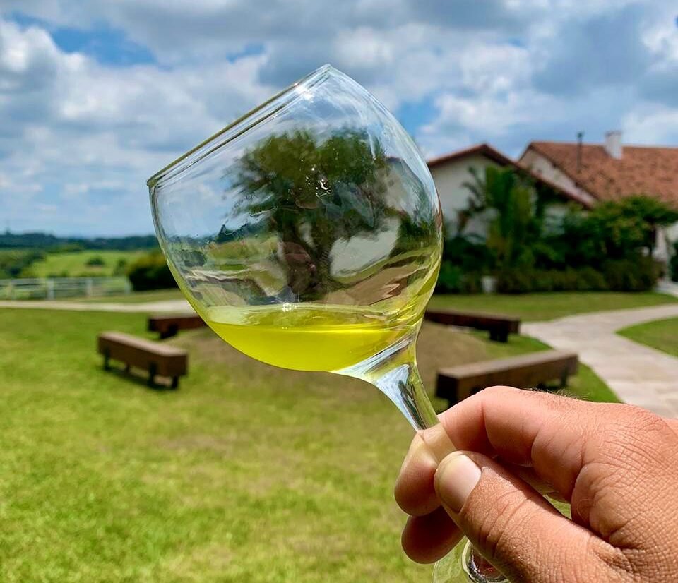 Localizada em Viamão, Estância das Oliveiras conquista premiações internacionais de alto renome
