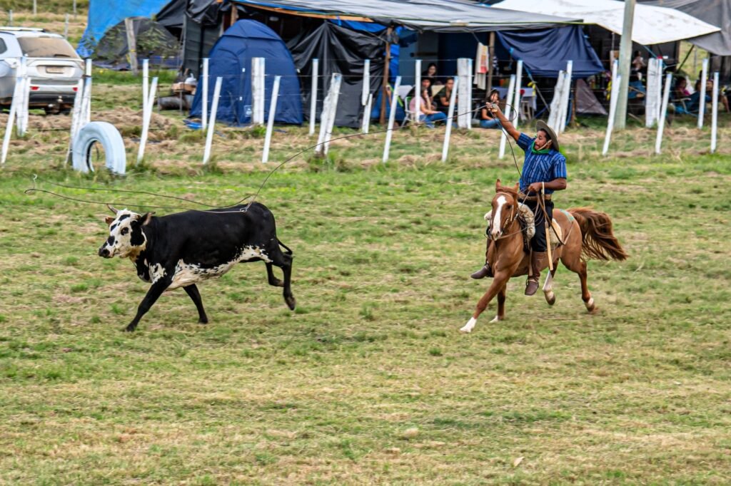 Rodeio Crioulo e ExpoViamão celebram a cultura gaúcha e a produção agrícola 