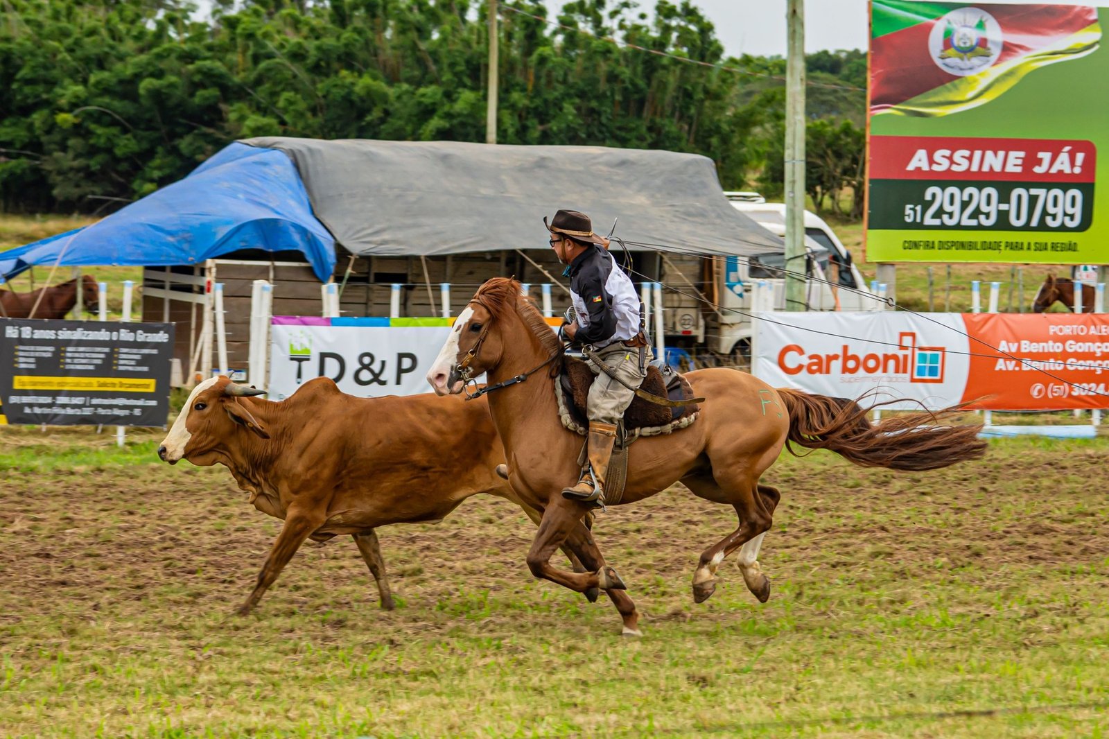 Com provas, shows e bailes, Rodeio Crioulo e ExpoViamão ocorrem no final de abril