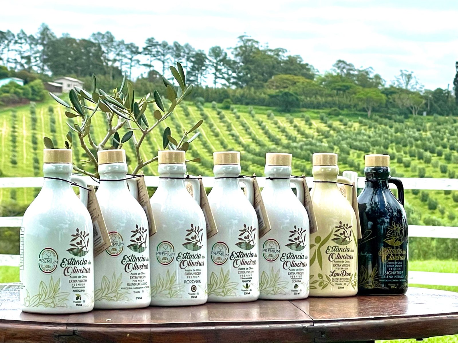 Produtora de azeites de Viamão celebra mais uma conquista internacional 
