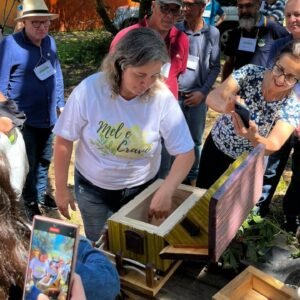 Curso de criação de abelhas sem ferrão será ministrado em Viamão; Veja como participar