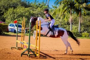 Iniciante como atleta de hipismo, estudante de Gravataí vence prova em Viamão e almeja novas conquistas