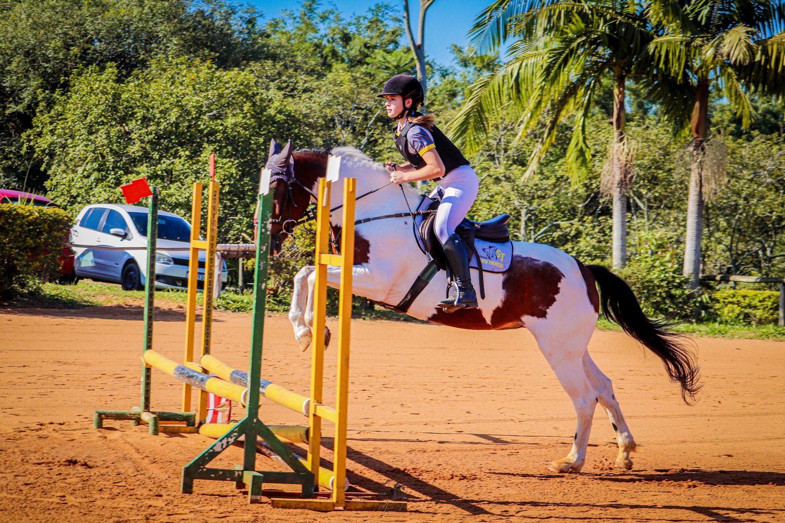 Iniciante como atleta de hipismo, estudante de Gravataí vence prova em Viamão e almeja novas conquistas