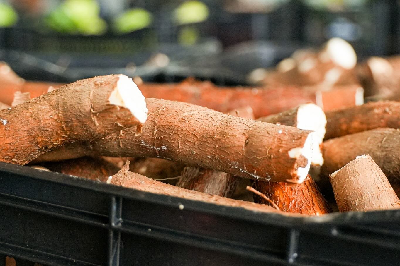Dia da Agricultura Familiar será celebrado com Feira Festiva em Viamão